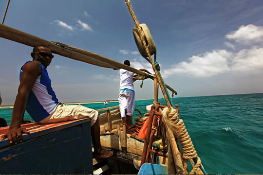 Full Day Wasini Dolphin Dhow